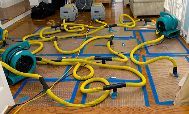 Professional Sewage Cleanup technician working in Nesconset, NY